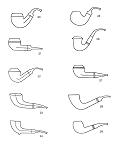Ardor Shape Chart Images 20-29
