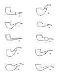 Ardor Shape Chart Images 40-49