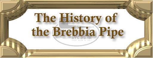 brephist.jpg (20526 bytes)