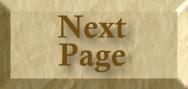 next.JPG (3493 bytes)