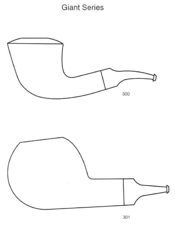 shape300_301.jpg (20517 bytes)